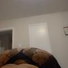 ) Bbw OUTCALL MUST HOST [