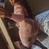 ) INCALL & OUTCALLS OR CAR PLAY ONLY [